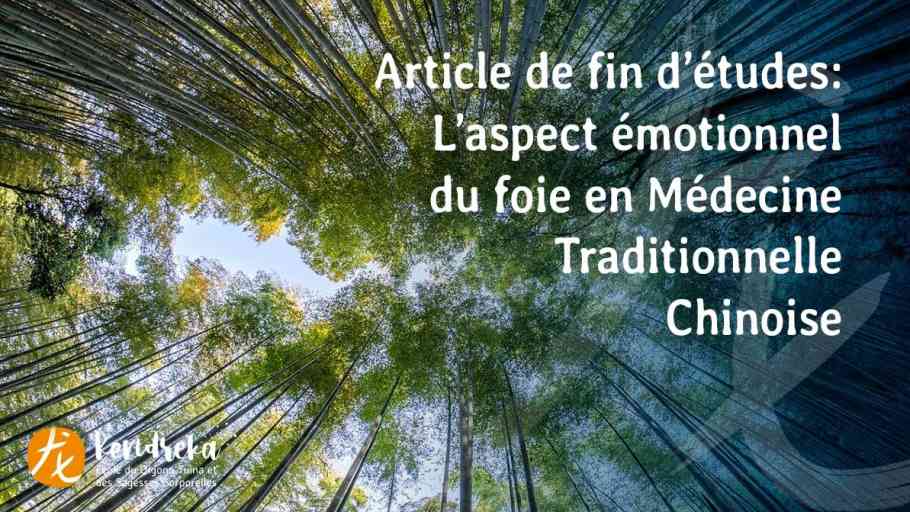 Le Lien Entre Le Foie Et Les Chocs Motionnels Comment D Bloquer Votre Foie Selon La M Decine